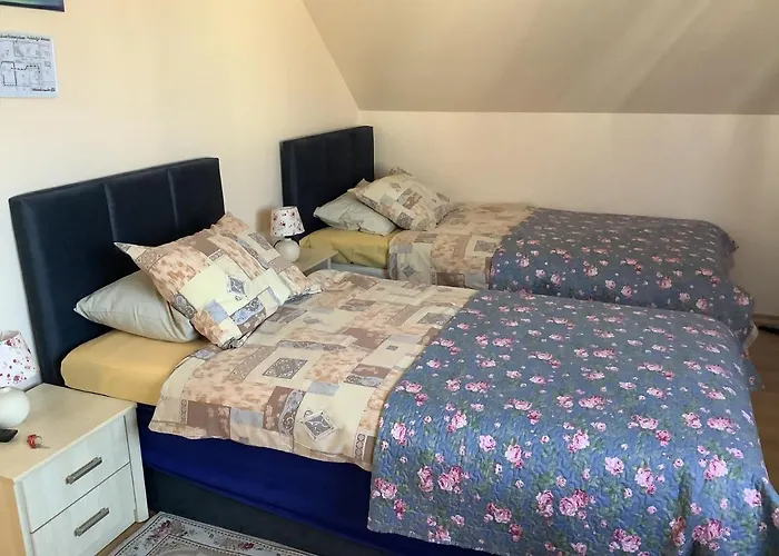 Guest house Lana House 3*