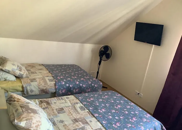 Guest house Lana House Parnu