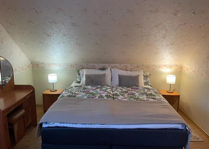 Guest house Lana House Parnu